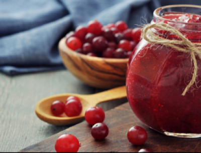 丹尼斯克 果膠SF530